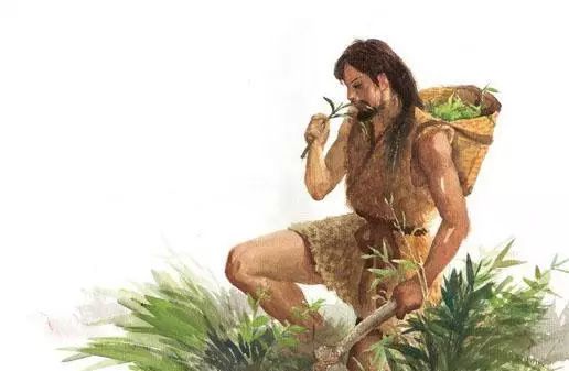 古人是怎么喝茶的你知道吗？