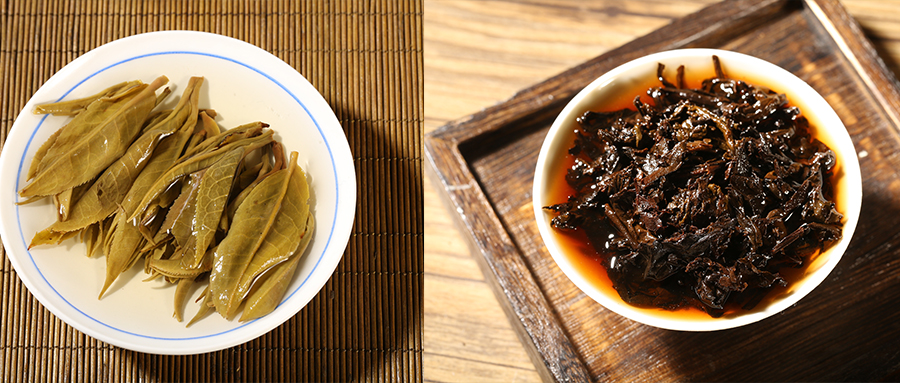 1574402284971270.jpg 4叶底.jpg