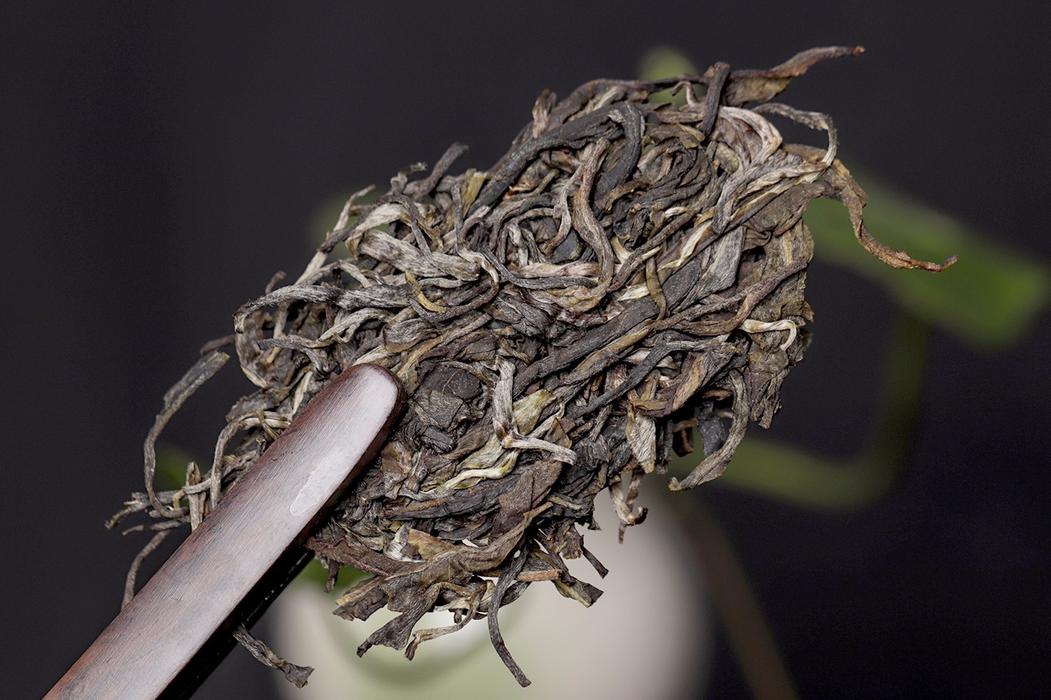 1593921872281470.jpg 21.jpg