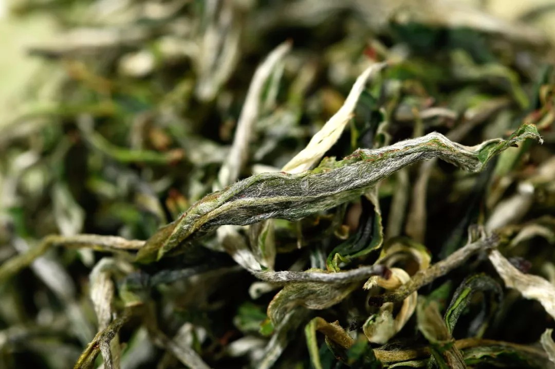 1594116887712649.jpg 6.jpg