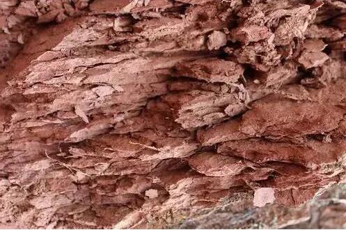 1595644537635880.jpg QQ截图20200725100150.jpg