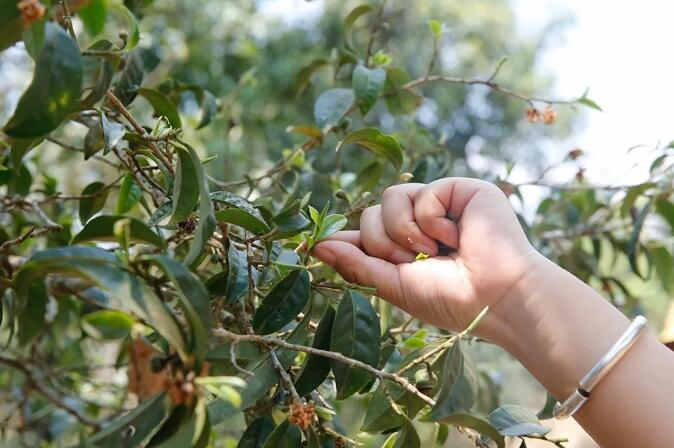 1595644736541339.jpg QQ截图20200725100120.jpg