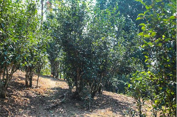 1595646025128286.jpg QQ截图20200725110004.jpg