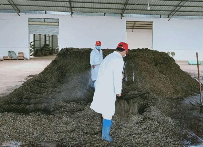 追踪报道｜普洱茶每次翻堆的背后，究竟是品质升华还是工艺需求？