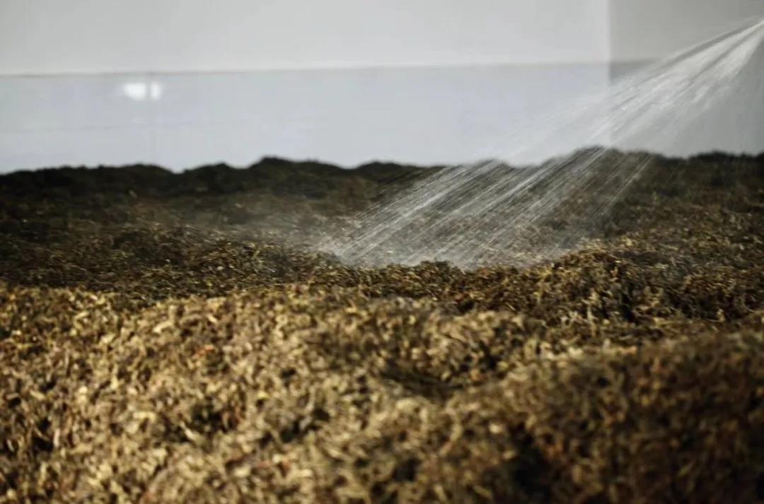 1599966886125910.jpg 2.jpg