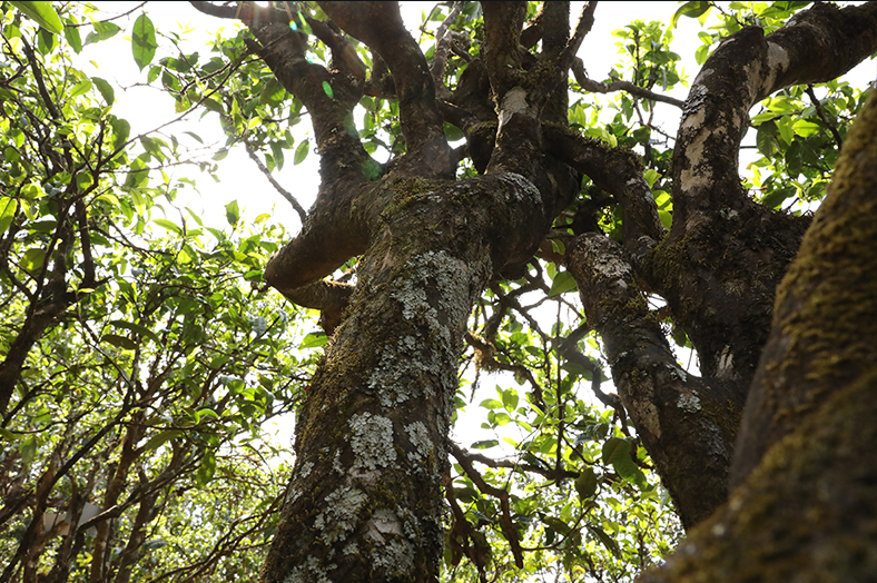 1600570669943084.png 14.png