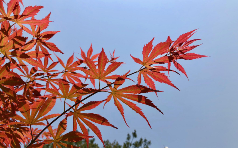 1601087122124361.png 30.png