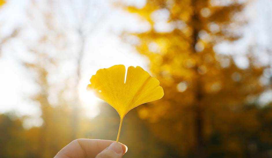 1601087259791870.png 31.png