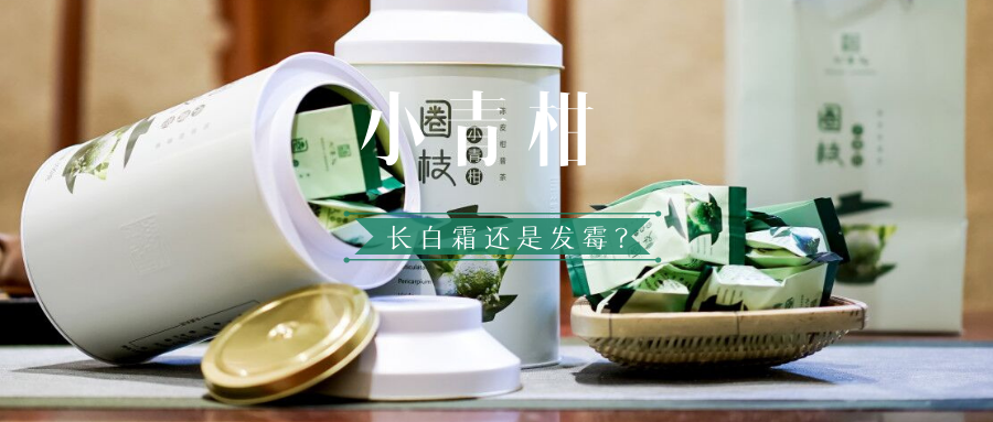 喝了“发霉”的小青柑还不知？三步辨别你的小青柑是不是真发霉