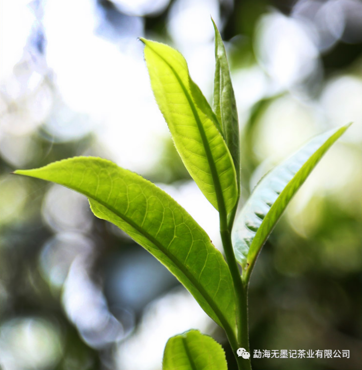 1603179219466464.png 5.png