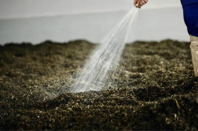 1603179245208273.jpg 7.jpg