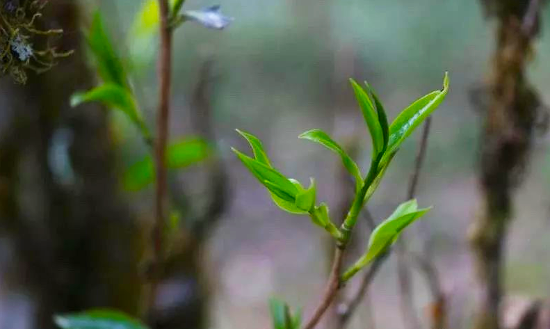 1603183238229789.png 微信图片_20201019183116.png