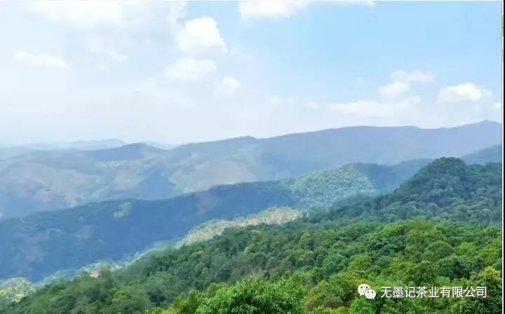 1605754065136841.jpg 2.jpg