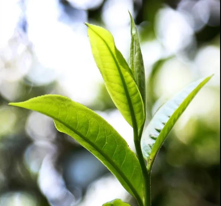 1606646805136772.jpg 1606646805136772.jpg