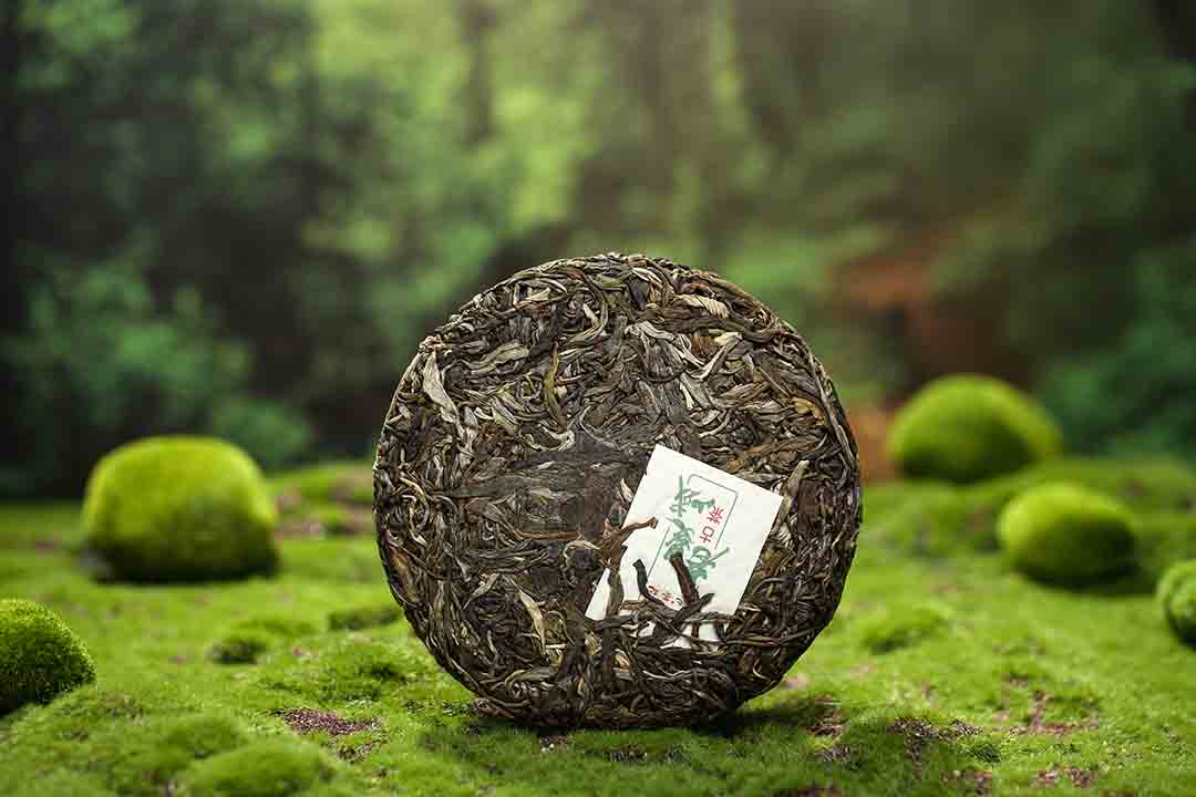 1691303775387759.jpg 十二山味老曼峨防11.jpg