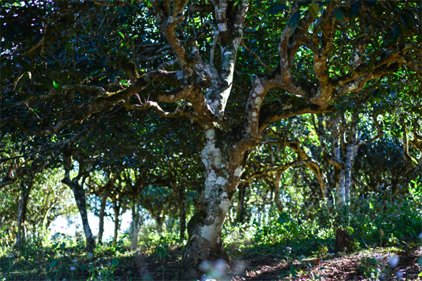 1711884627130627.png 4签约完成.png