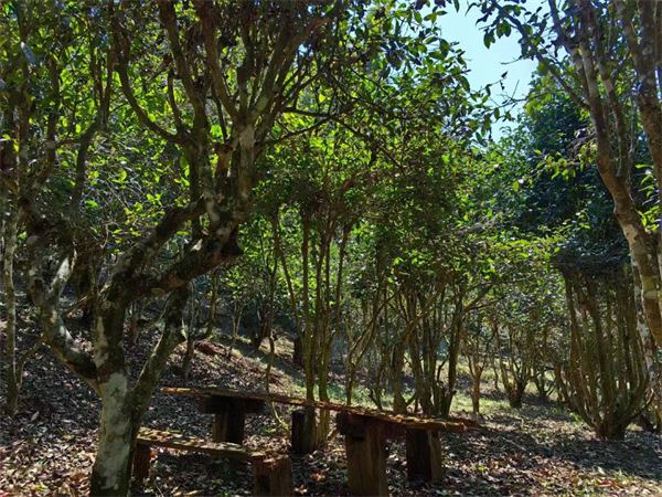 1711884661139147.png 6签约完成.png