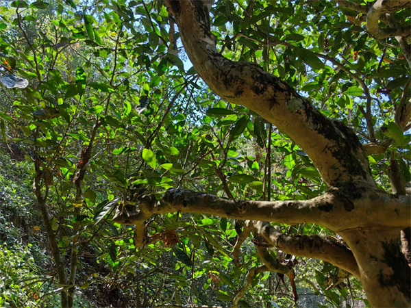 1711884724104648.png 9签约完成.png