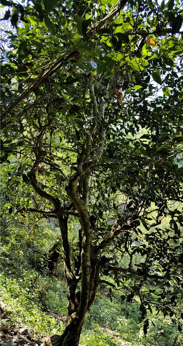 1711885015521330.png image.png