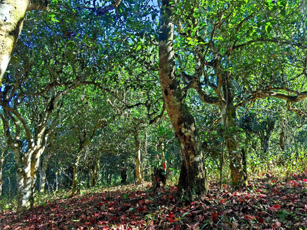 1711885054129762.png 12签约完成.png