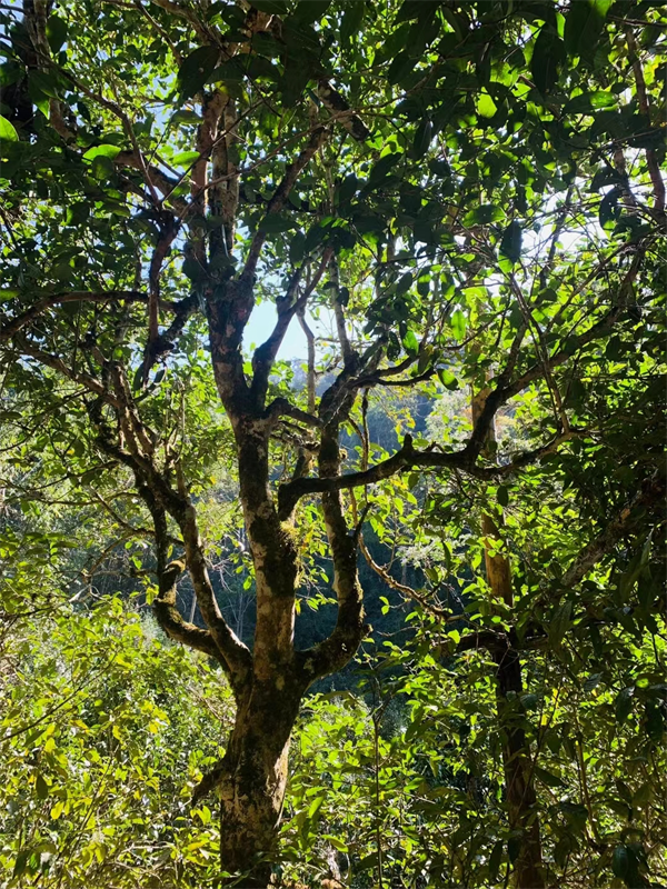 1711885251928453.png 18签约完成.png