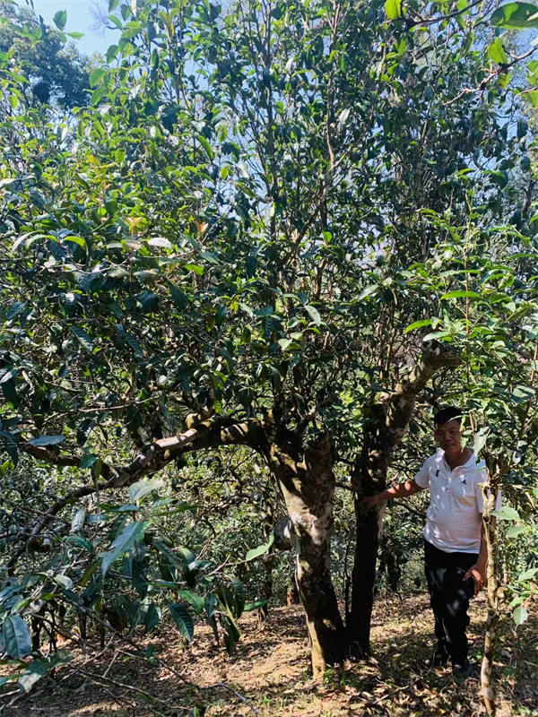 1711885459953153.png 21签约完成.png