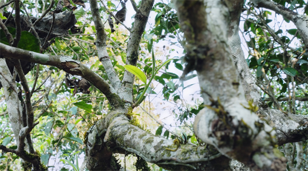 1711885520667422.png 25签约完成.png