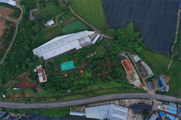 1711885737563329.jpg 26.jpg