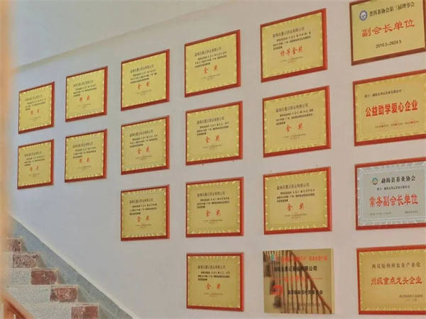 1711886251633513.jpg 7无墨记广州办事处.jpg